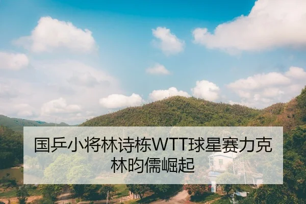 国乒小将林诗栋WTT球星赛力克林昀儒崛起