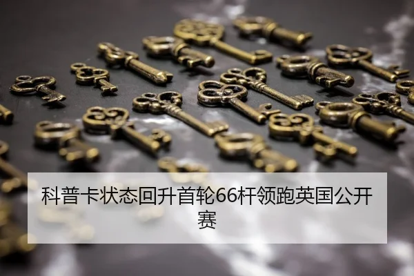 ke-pu-ka-zhuang-tai-hui-sheng-shou-lun-gan-ling-pao-ying-guo-gong-kai-sai-2-292.jpg