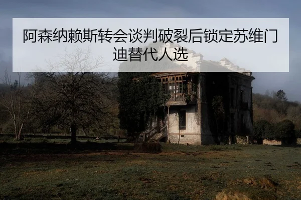a-sen-na-lai-si-zhuan-hui-tan-pan-po-lie-hou-suo-ding-su-wei-men-di-ti-dai-ren-xuan-2-268.jpg
